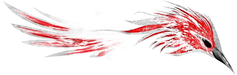 Baner El Cuervo Rojo