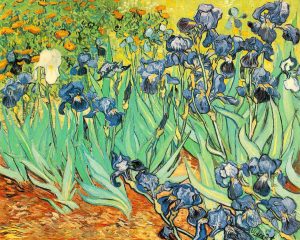 Irises, 1889.